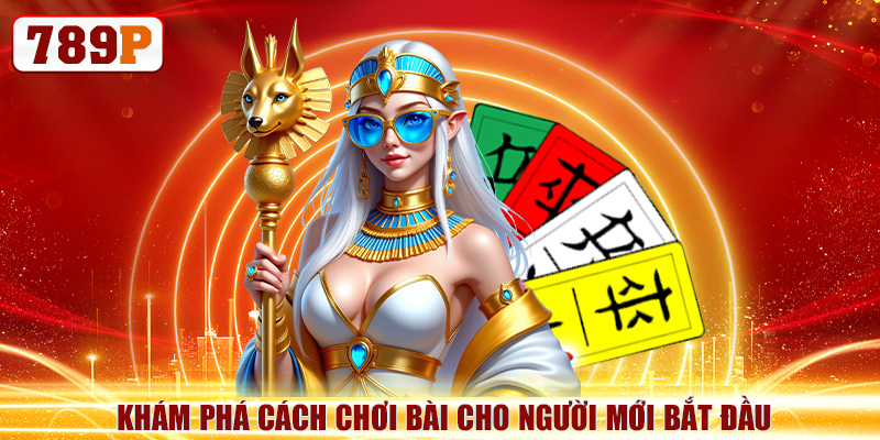 Khám phá cách chơi bài cho người mới bắt đầu